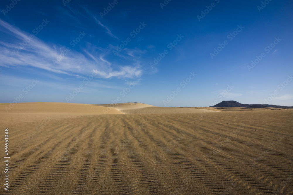 Fototapeta premium Sand patterns Natural park,Corralejo,Canary-islands,Spain