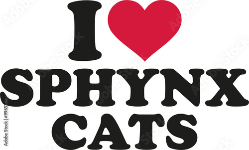 I love sphynx cats