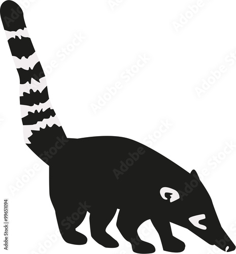 Coati with striped tail
