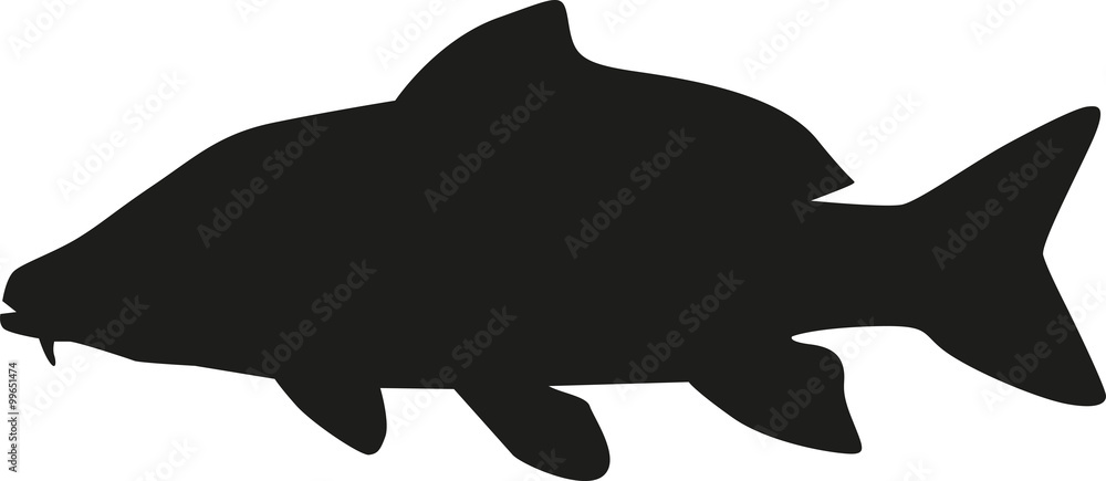 Carp silhouette Carp silhouette