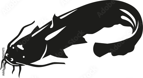 Catfish with details