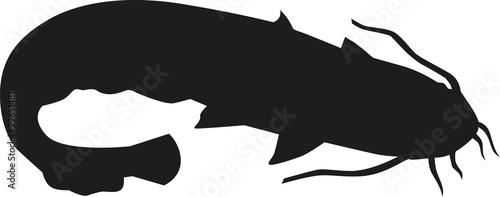 Catfish silhouette