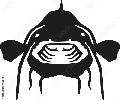 Catfish head looking in mouth