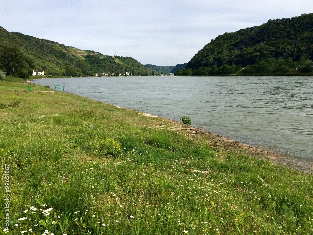 Rheinufer bei Wellmich
