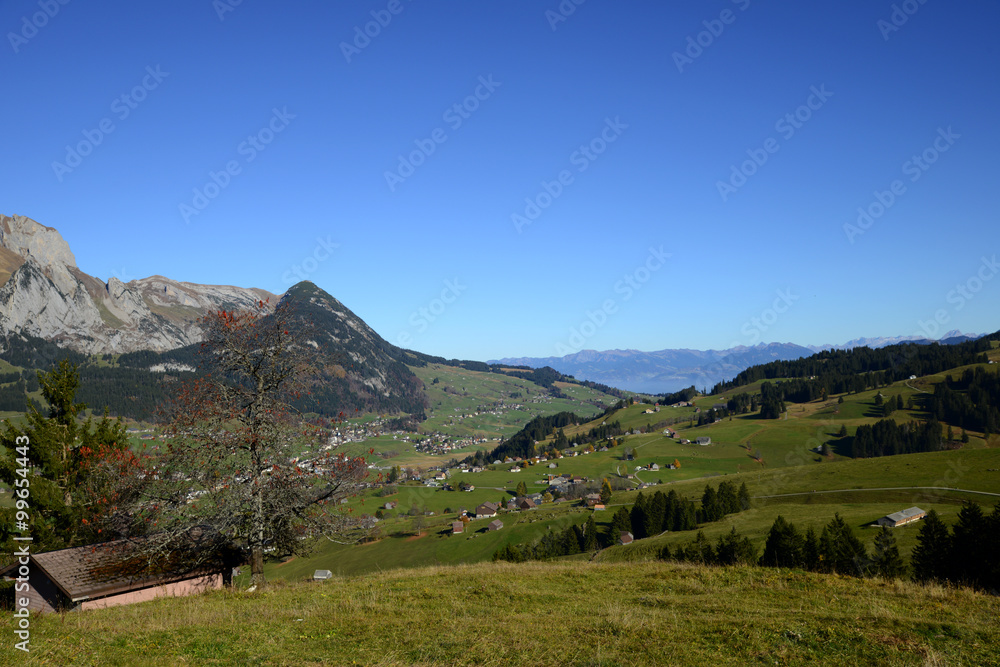 Fototapeta premium Toggenburg - Schweiz
