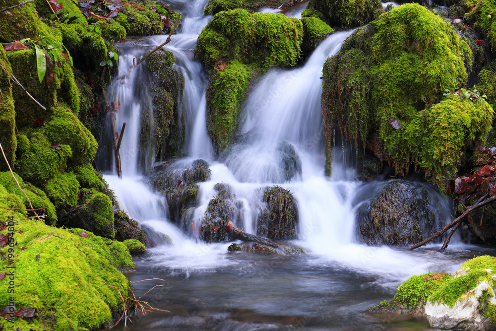 Mountain stream among the mossy stones Mountain stream among the mossy stones