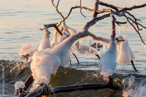 eisgocken auf dem meer photo