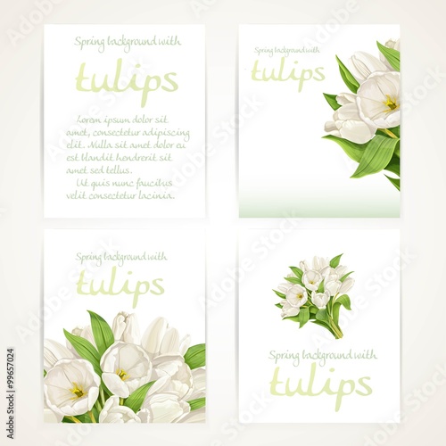 Fototapeta Naklejka Na Ścianę i Meble -  White tulips on four vertical blank banners set on a white backg