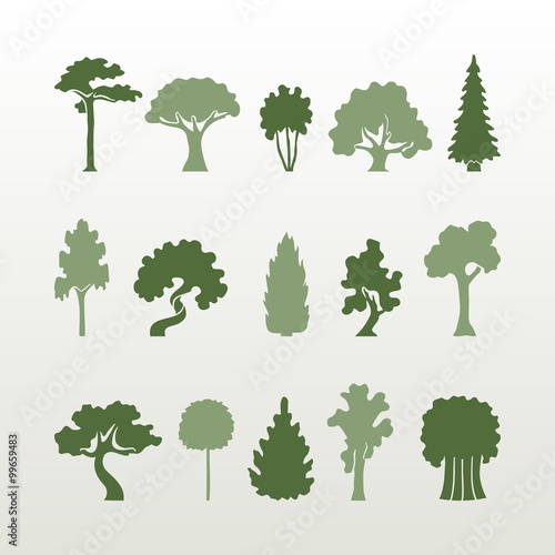 Different types of trees vector.