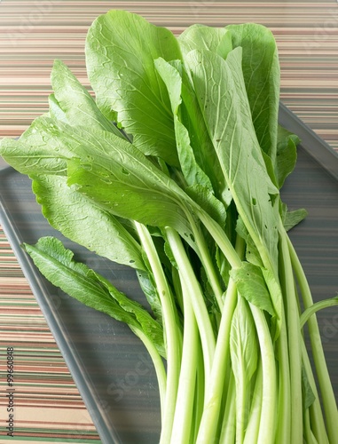 Organic Chinese Cabbage or Bok Choy on A Tray photo