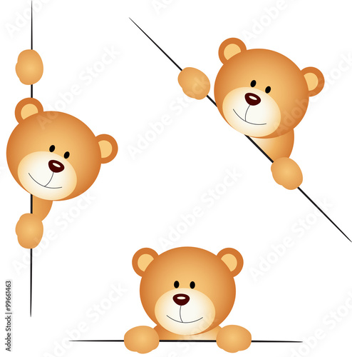Teddy bear peeking from behind in various positions

