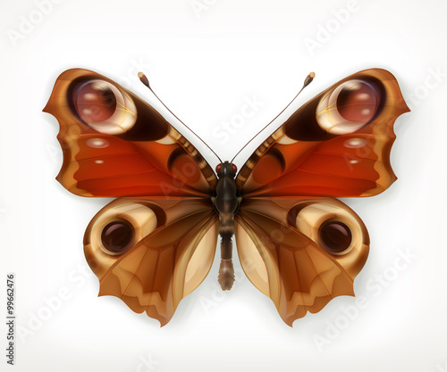 Butterfly, vector icon