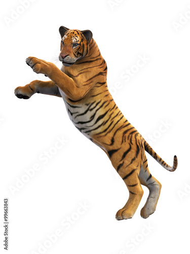Fototapeta Naklejka Na Ścianę i Meble -  Tiger attacking, animal isolated on white background