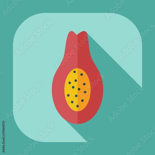 Flat modern design with shadow icons avocado
