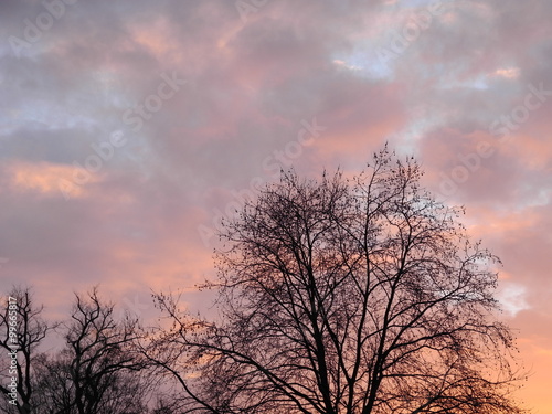 winterliche Bäume und leicht bewölkter Himmel am frühen Morgen - kurz nach Sonnenaufgang © HansPeterK