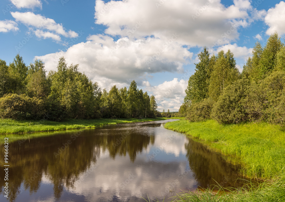 Obraz premium river with green banks