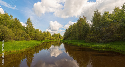 small river in the forest