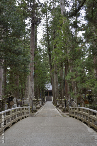 高野山奥の院です。毎日お大師様のいらっしゃる御廟に食事「生身供（しょうじんぐ）」が届けられます。撮影が許可されている御廟橋手前から撮影いたしました。