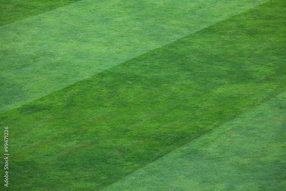 Close-up of striped pattern on grassy soccer field Close-up of striped pattern on grassy soccer field