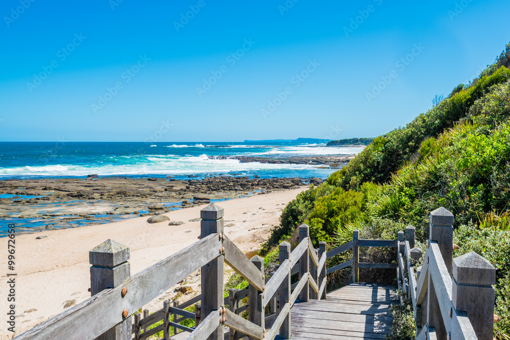 Fototapeta premium Ocean and native vegetation from Norah Head coast, Australia