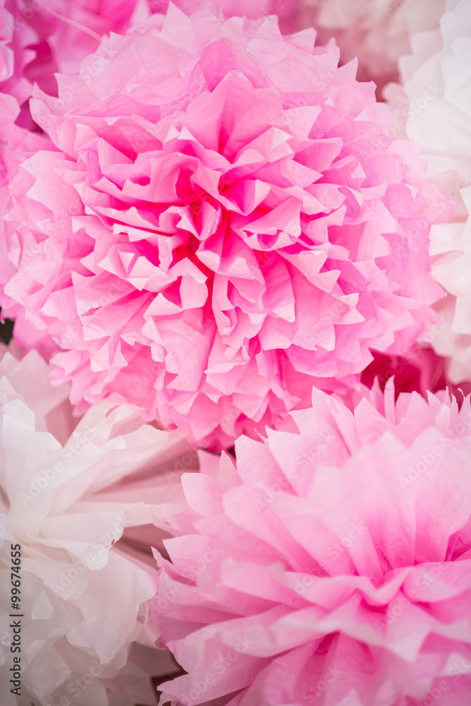 pink pompon