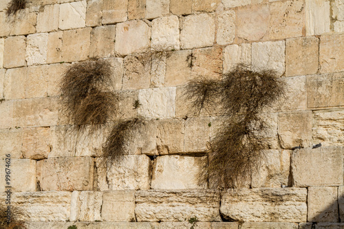 Western Wall in Jerusalem  Israel