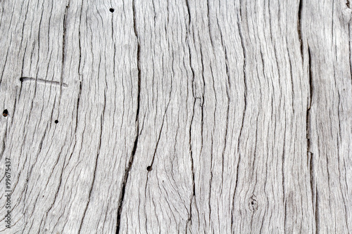  fond texture bois sec, vieux tronc d'arbre blanchi par le temps 