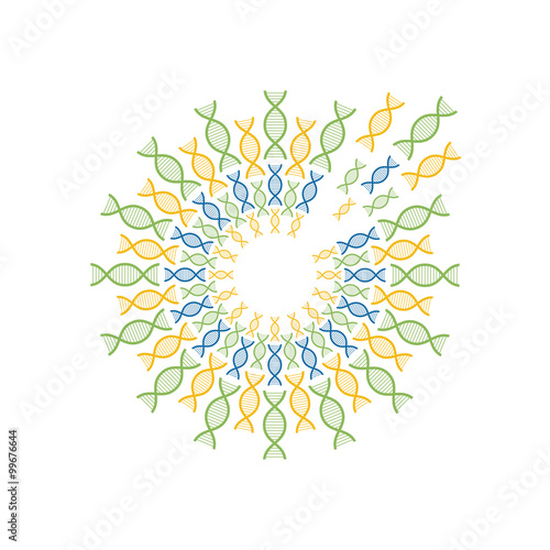 Fototapeta Naklejka Na Ścianę i Meble -  circle of DNA spiral vector design template