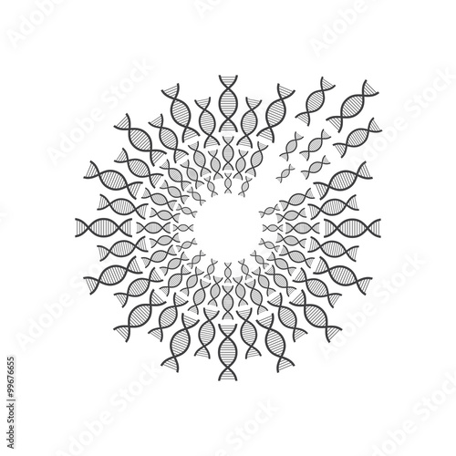Fototapeta Naklejka Na Ścianę i Meble -  circle of DNA spiral vector design template