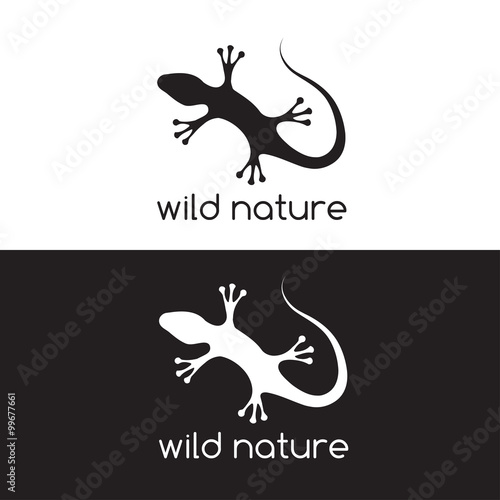 lizard vector design template