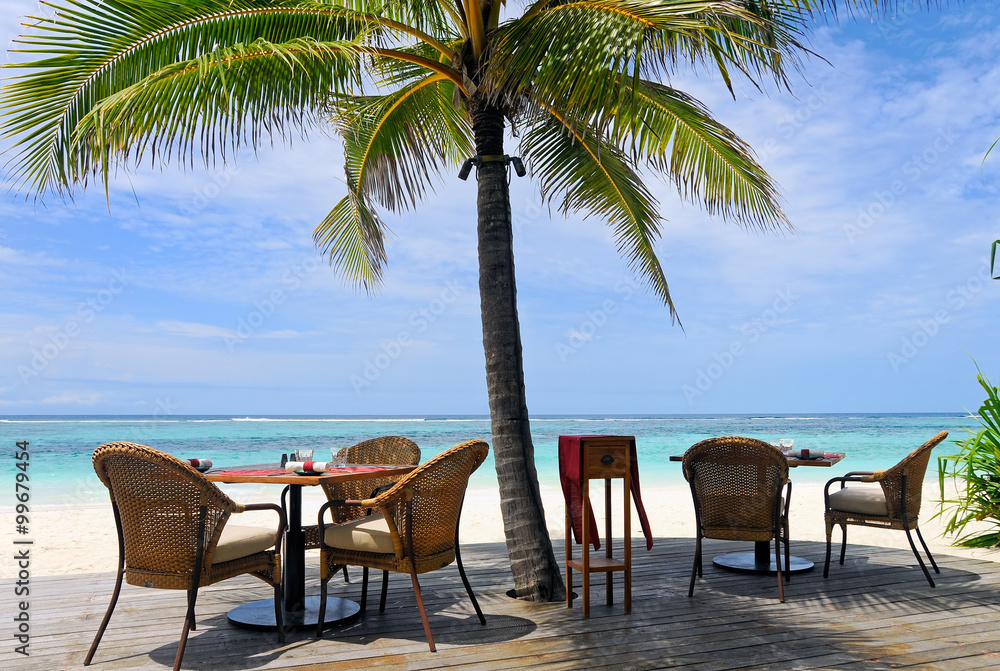 tropical restaurant under palm trees