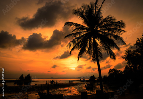 Silhouette coconut palm tree near beach at sunset