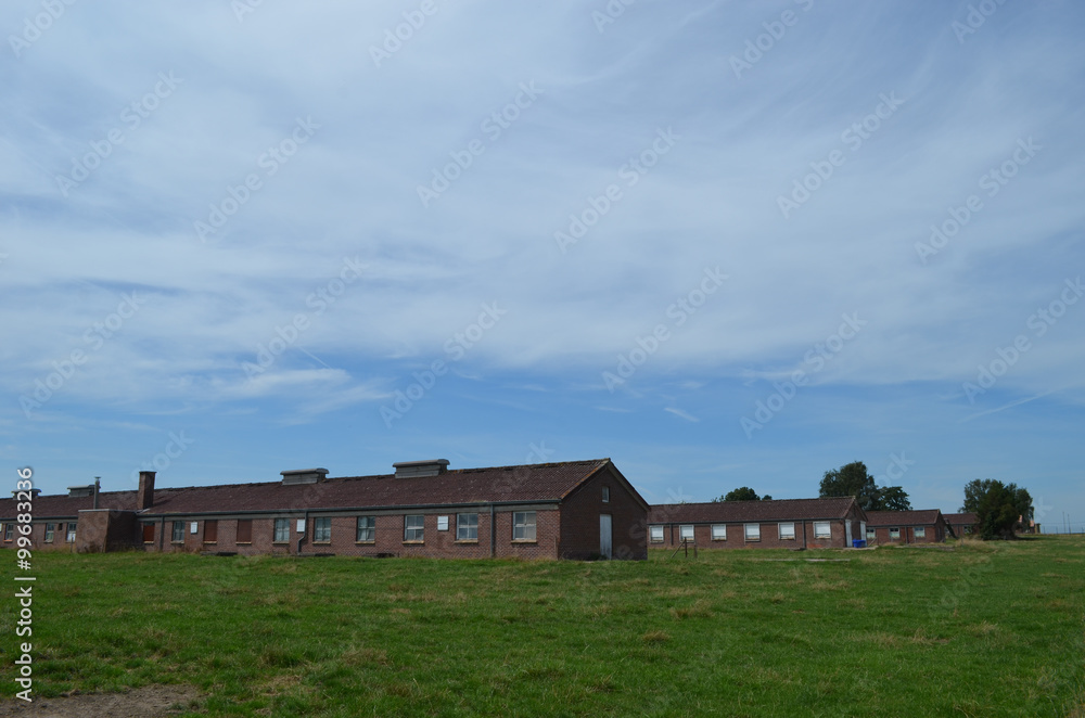 Modern agricultural barracks in a meadow Modern agricultural barracks in a meadow