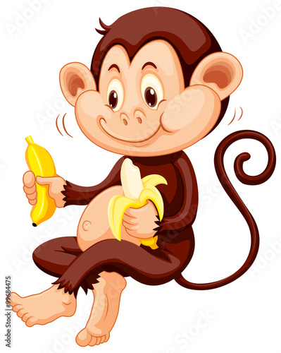 Little monkey eating bananas
