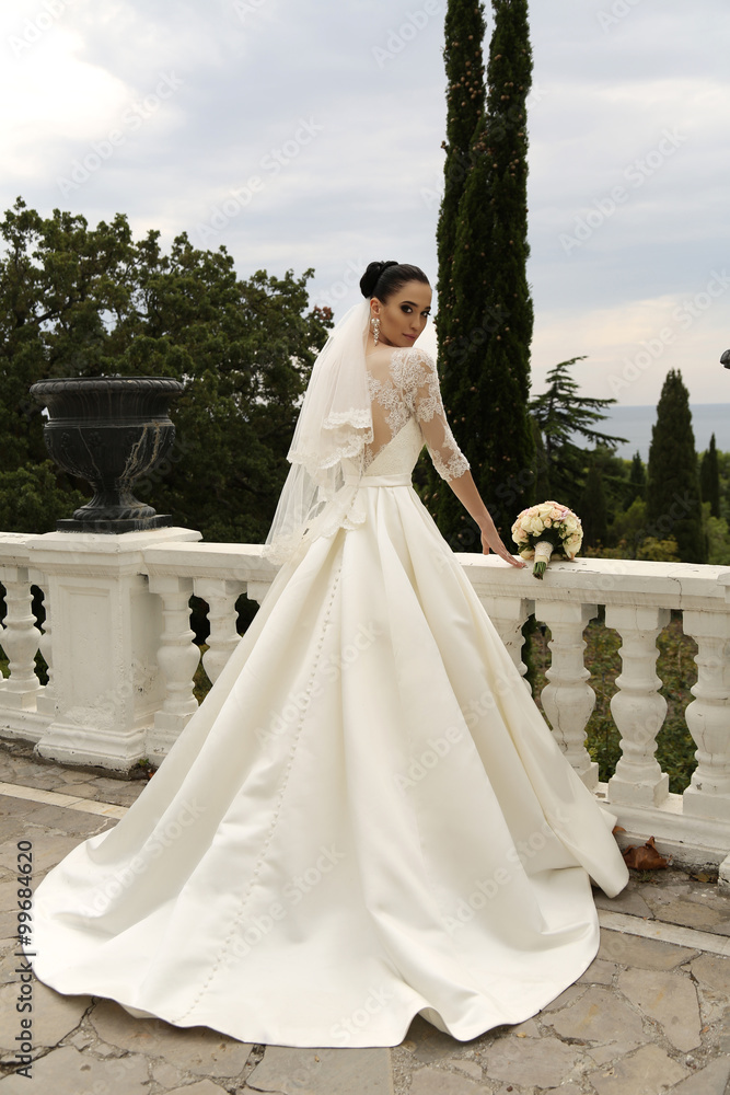 Fototapeta premium gorgeous bride with dark hair wears elegant wedding dress