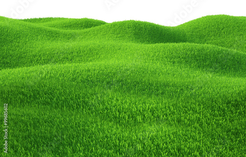 Green grass growing on hills with white background top view © mirexon