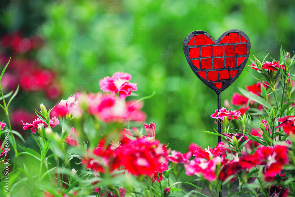 Summer beautiful garden with pretty cloves Summer beautiful garden with pretty cloves