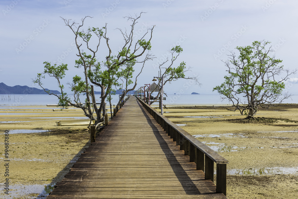 Obraz premium Wooden bridge