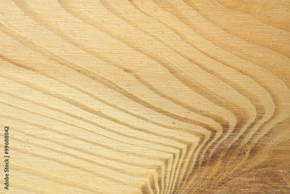 Pine tree texture. Wood background, light natural pattern Pine tree texture. Wood background, light natural pattern
