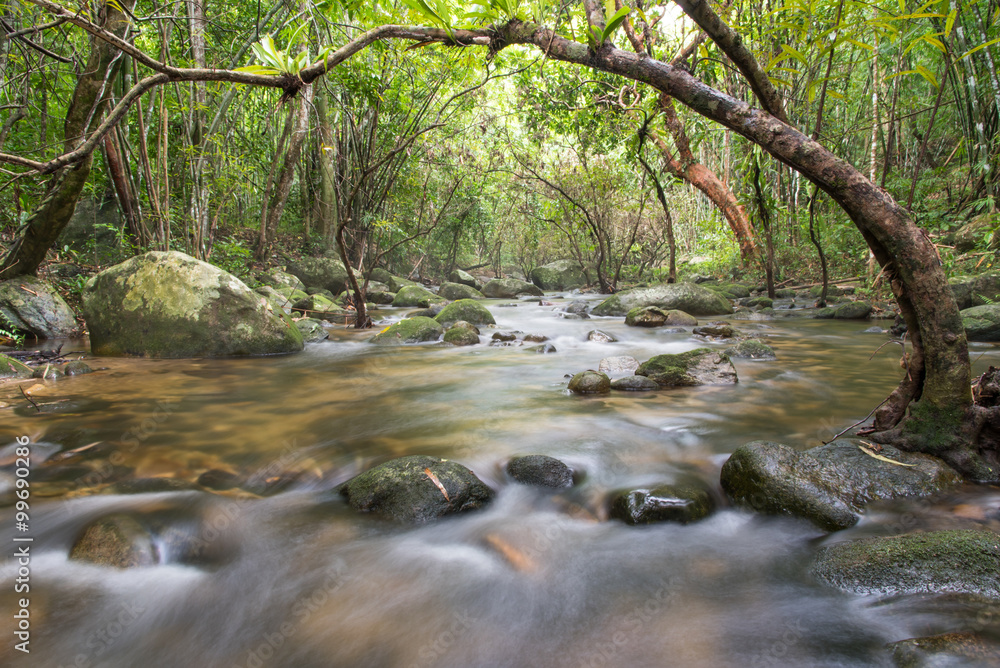 River deep in mountain rain forest. River deep in mountain rain forest.