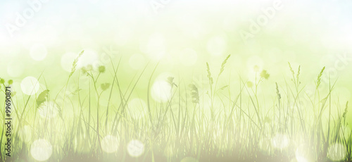 Green spring bokeh background with grass, sky and blurry light d