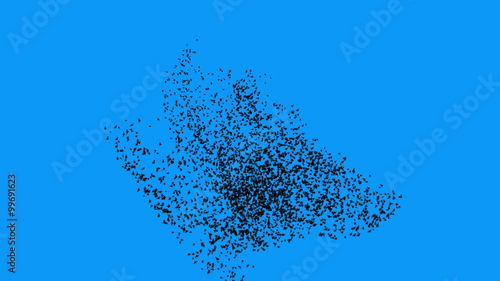 Flock of birds in large swarm (4K)
CG swarm of birds. Rendered and made in high res large flock or swarm of detailed birds with over 11000 elements. Perfect for compositing a matte painted landscape.