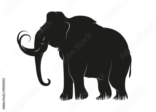 Mammut