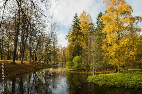 Autumn landscape with trees near the water in surrounding area of Saint-Petersburg 