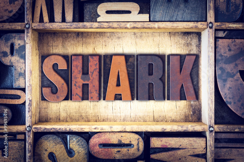 Shark Concept Letterpress Type