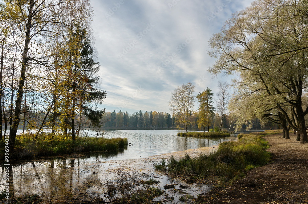 Autumn landscape with trees near the water in surrounding area of Saint-Petersburg
Autumn landscape with trees near the water in surrounding area of Saint-Petersburg