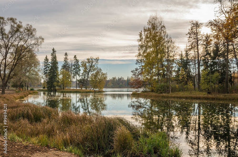 Autumn landscape with trees near the water in surrounding area of Saint-Petersburg