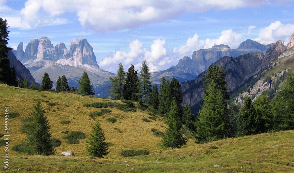 Alpenpanorama in den Dolomiten - Blick aus dem Val di Contrin auf Langkofel und Sellastock
