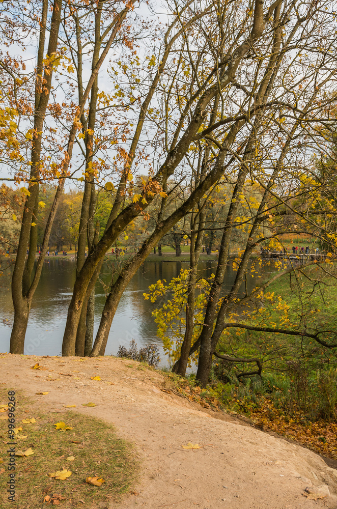Obraz premium Autumn landscape with trees near the water in surrounding area of Saint-Petersburg