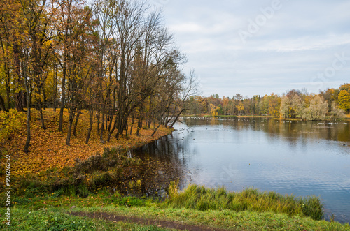 Autumn landscape with trees near the water in surrounding area of Saint-Petersburg